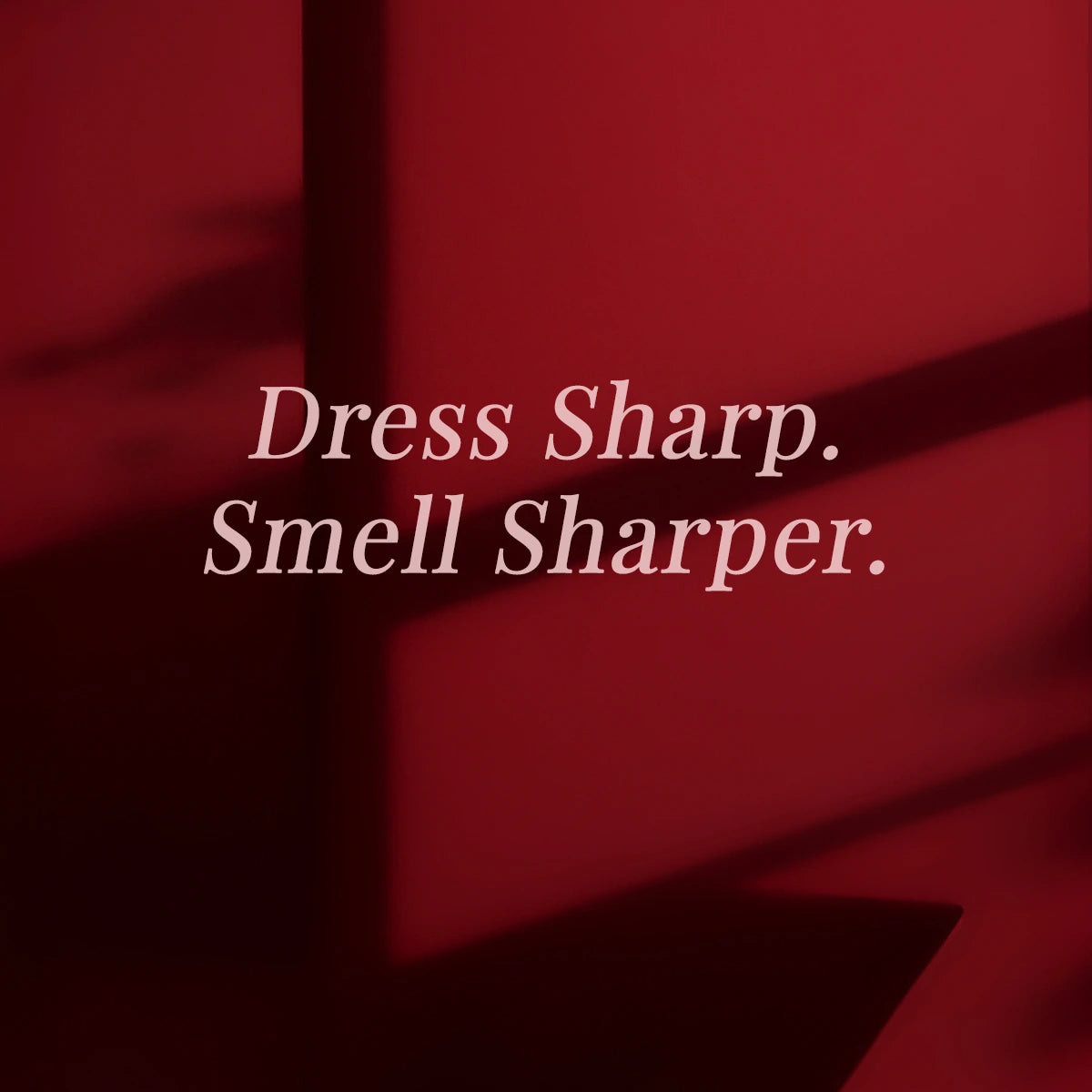 top selling perfume in india