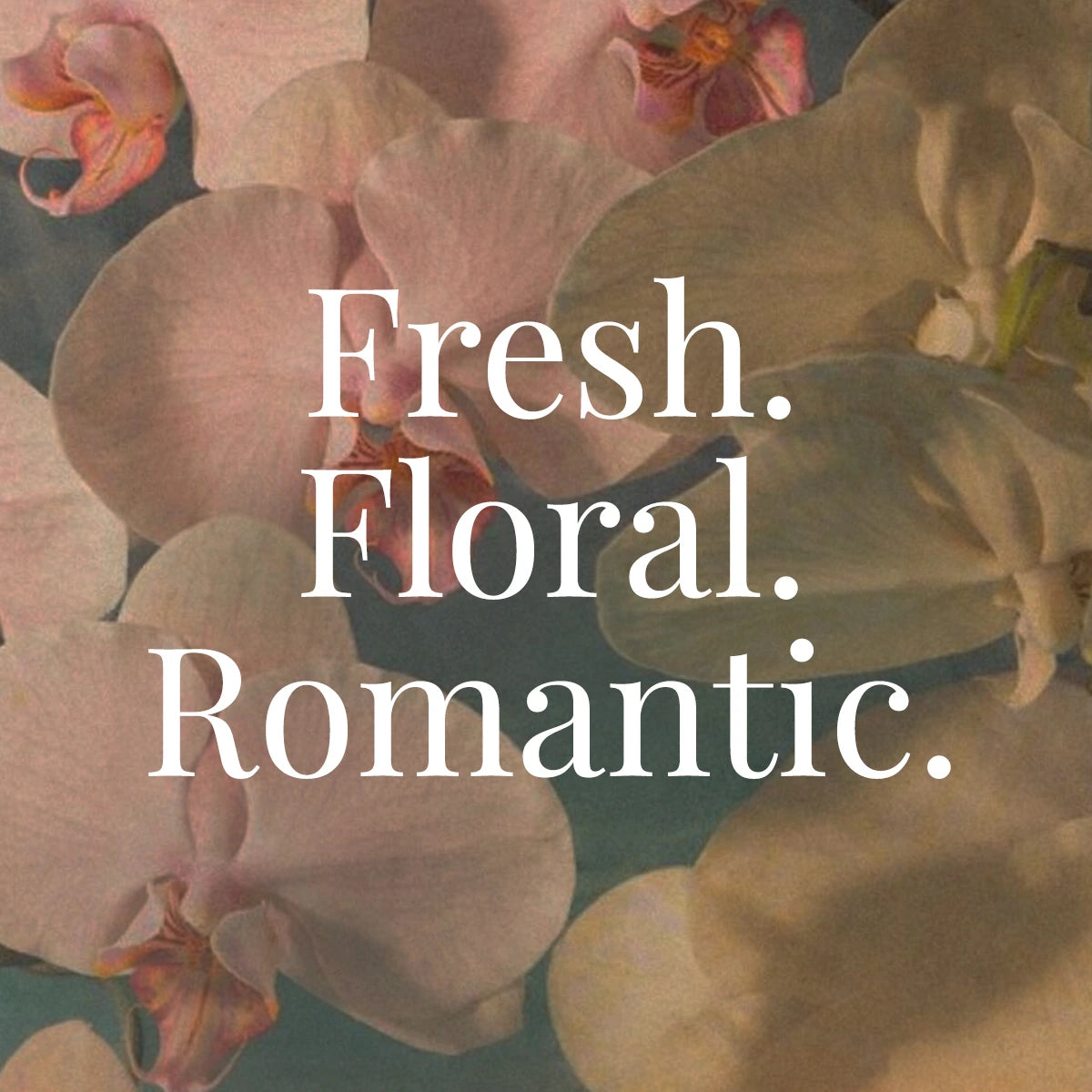fresh perfumes online