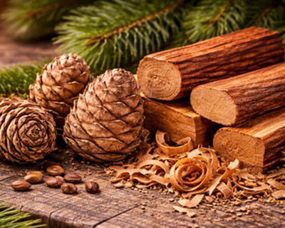 Cedar