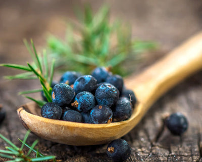 Juniper Berries