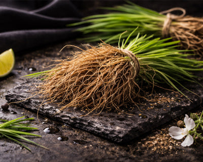 Vetiver