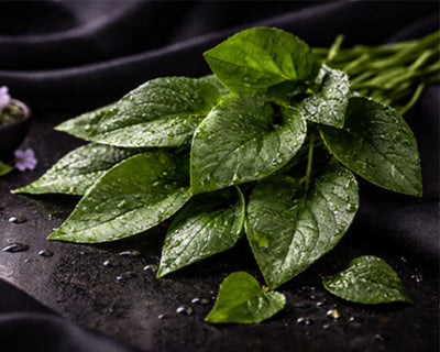Violet Leaf
