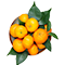 Top
Sicilian Orange