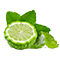 Top
Bergamot