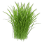 Base
Vetiver